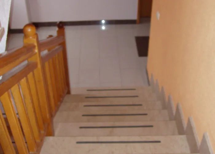 Toni * 스베티필립아이자코브